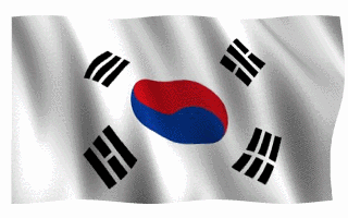 1219609255south-korean-flag-waving-gif-animation-17